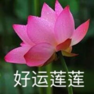 宝宝地震安全3学校救援游戏下载